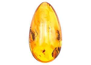 Amber Gemstone